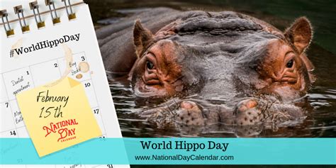 World Hippo Day (February 15) .